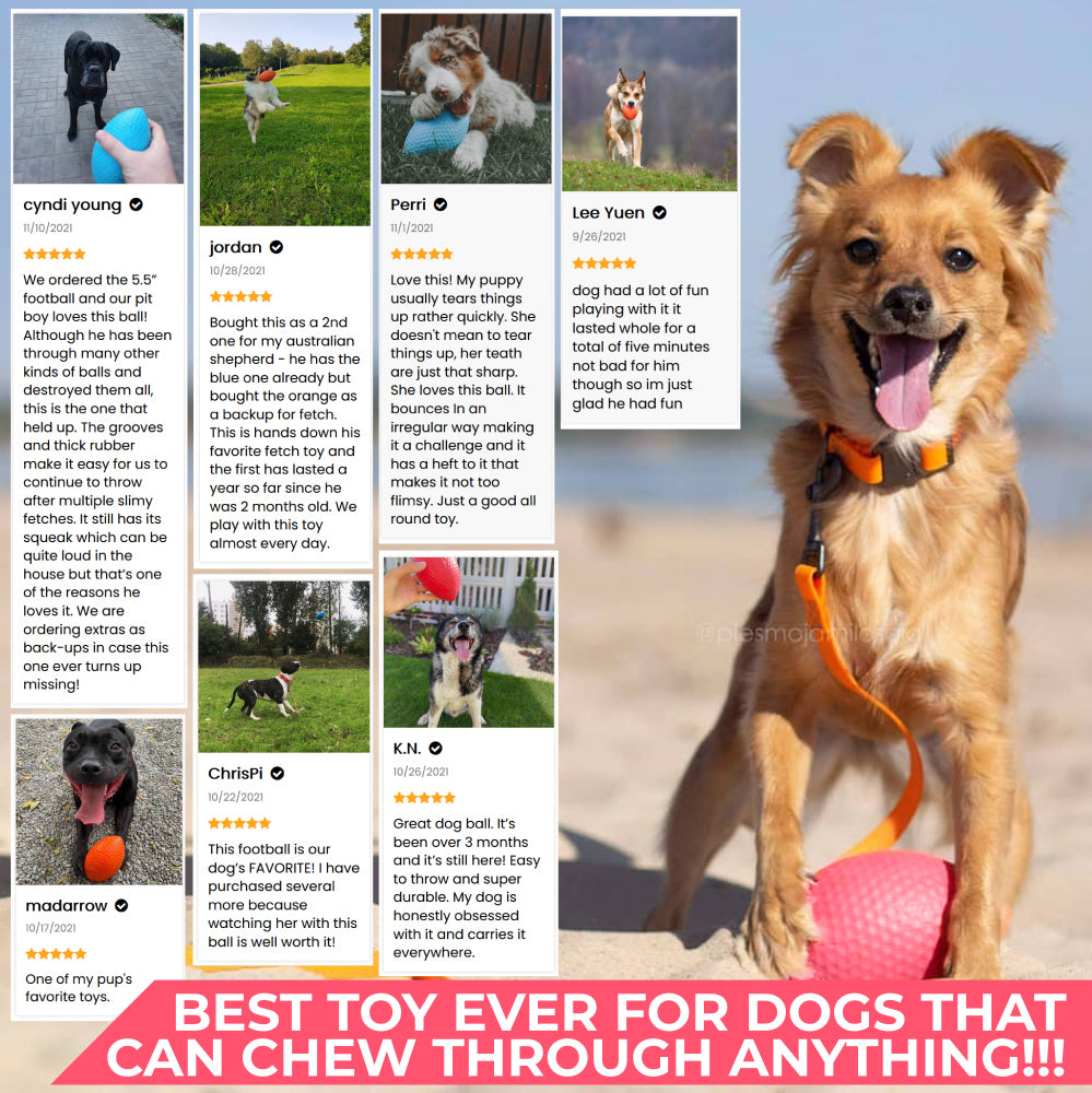 Extremely durable and safe football dog toy