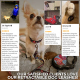 Retractable dog leash with a unique design