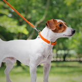 Glamour leather leash for dogs