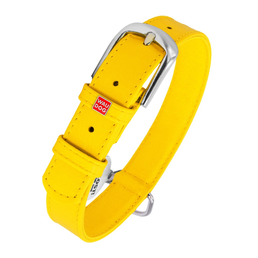Glamour leather dog collar