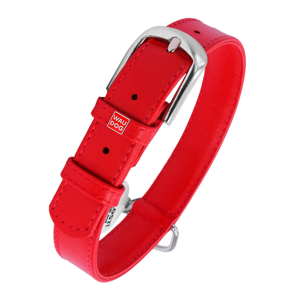 Glamour leather dog collar