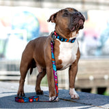 Nylon collar with design