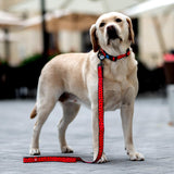 Nylon collar with design