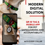 Nylon collar with design