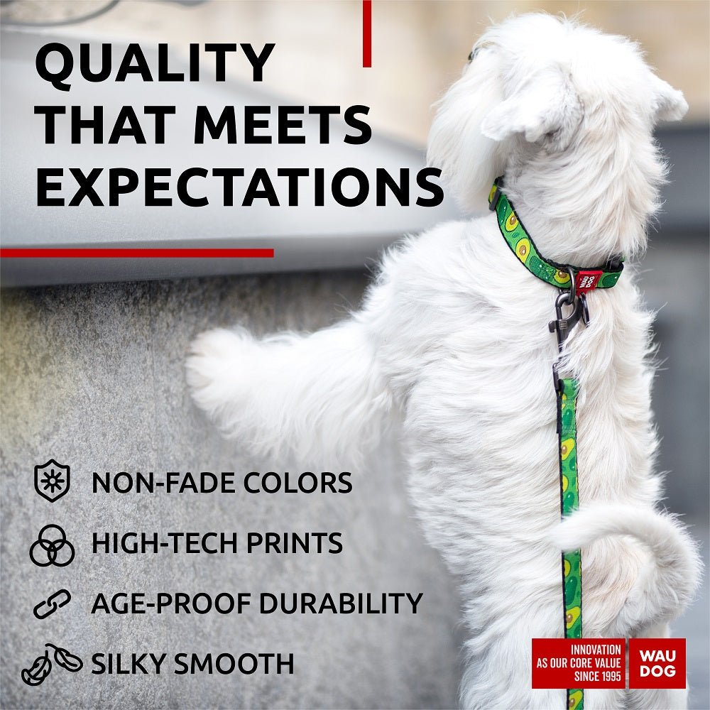 Nylon collar with design
