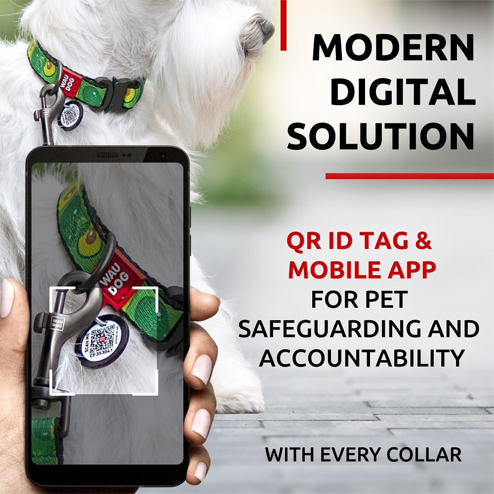Nylon collar with design