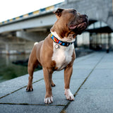 Nylon collar with design