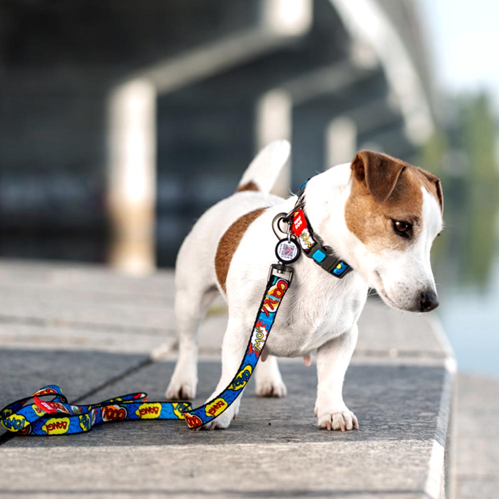 Nylon collar with design