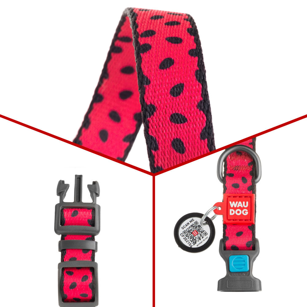 Nylon collar with design