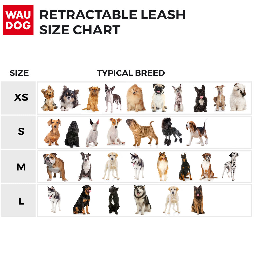 Retractable dog leash with a unique design