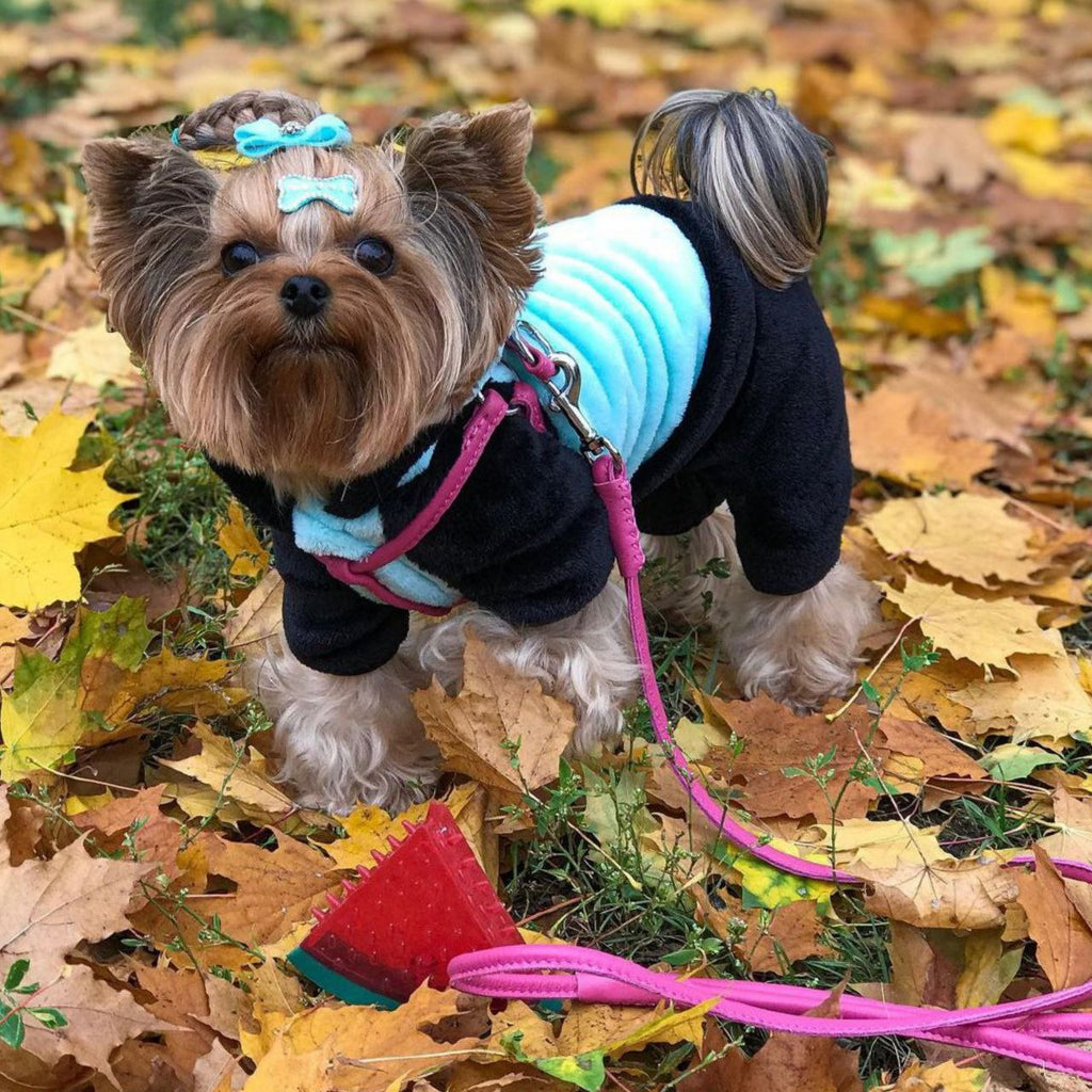 Glamour rolled leather dog leash