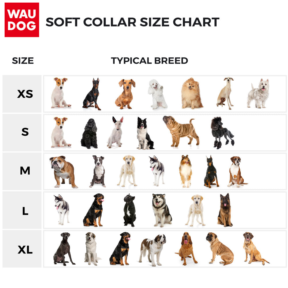 Heavenly soft leather collar for dogs