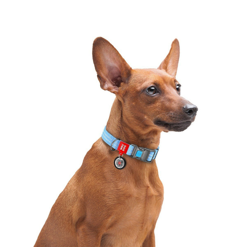 WHAT YOU NEED TO KNOW BEFORE BUYINGA DOG LEASH?