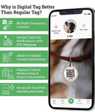ID Tag Is Modern Digital Solution for Pet Lovers