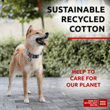 Eco-friendly Re-Cotton collar for dogs