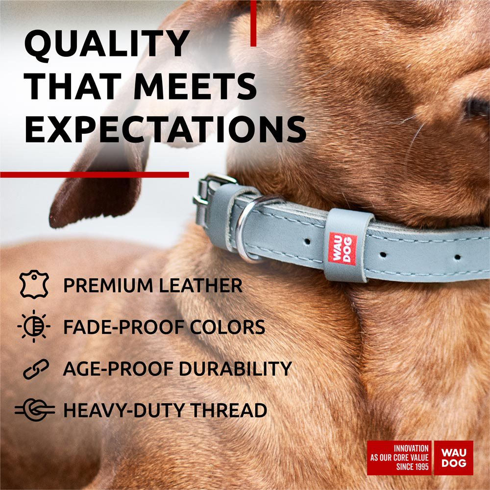 Classic Leather Dog Collar