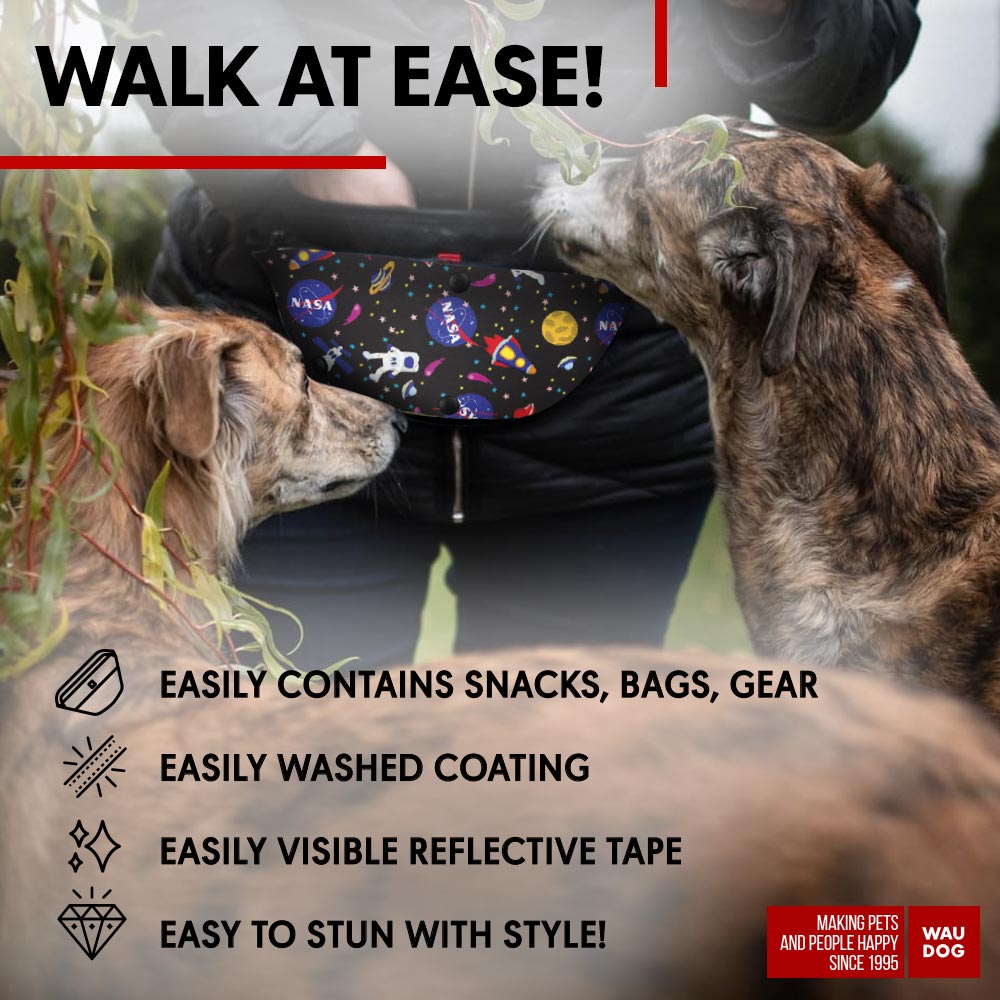 Waist bag for feed and accessories