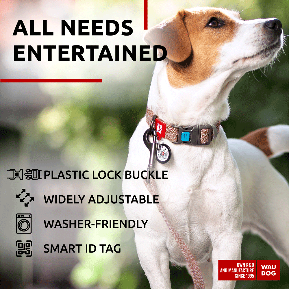 Eco friendly Re Cotton collar for dogs