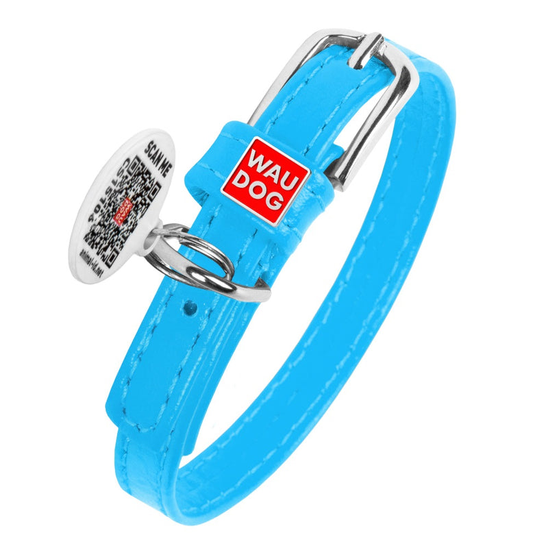 Glamour leather dog collar