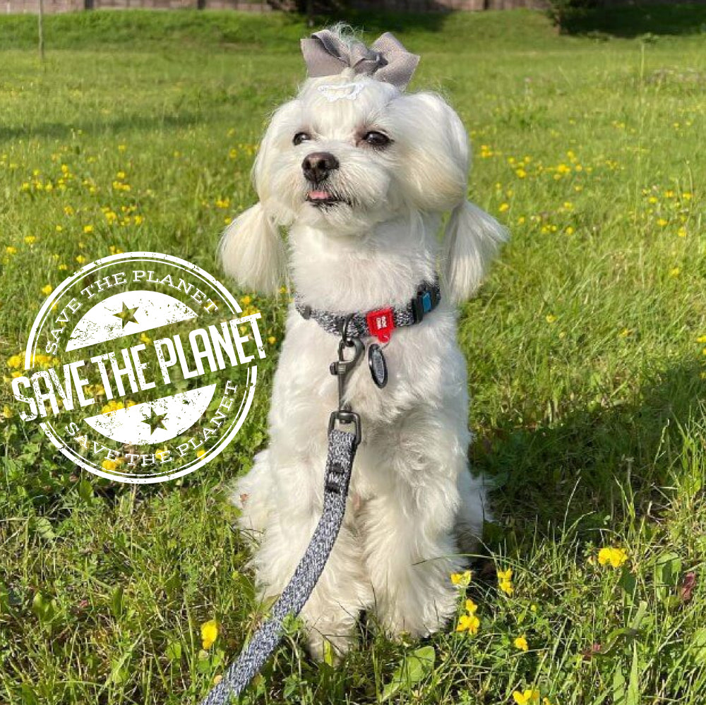 Eco-friendly Re-cotton leash for dogs