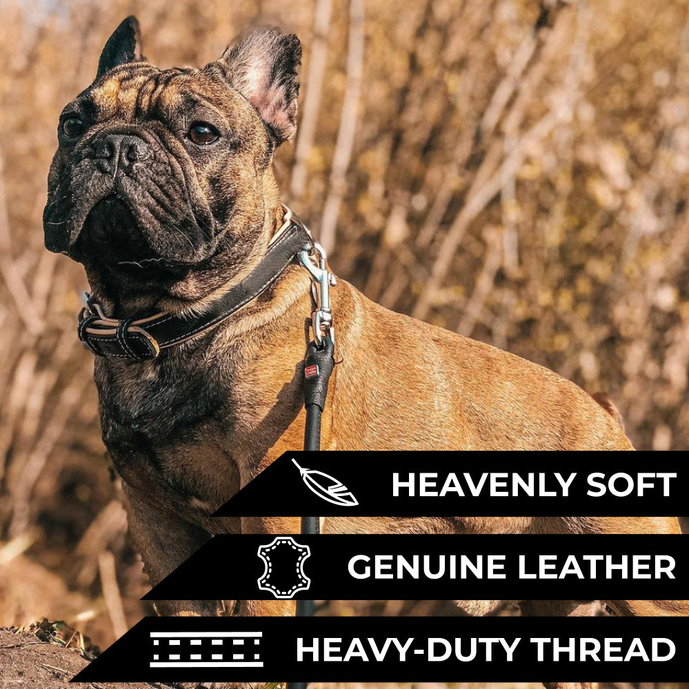 Heavenly soft leather collar for dogs