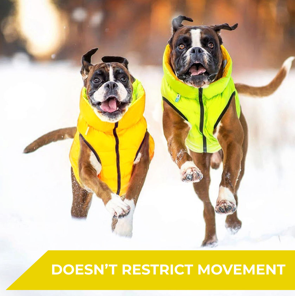 World's Lightest Warm Dog Jacket