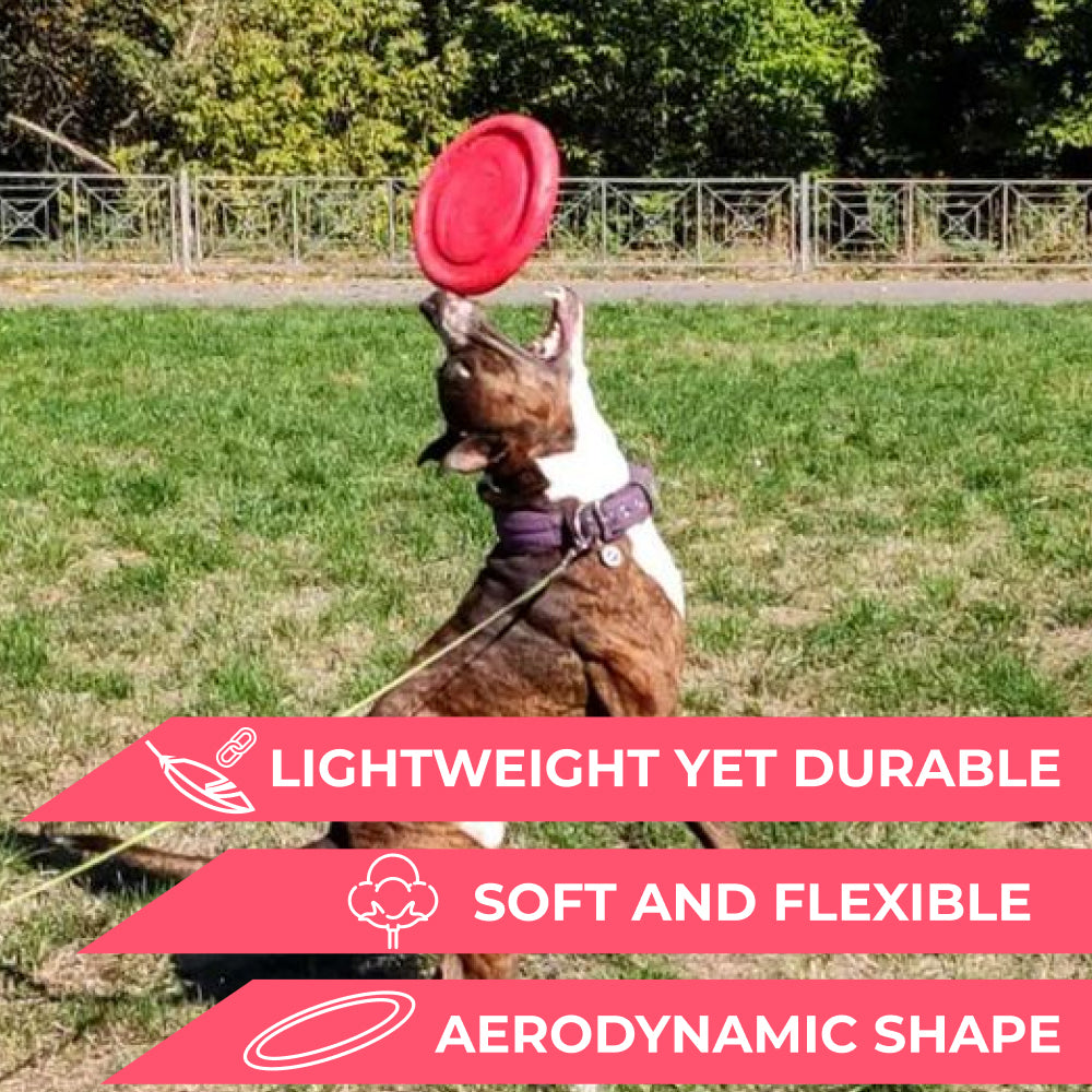 Lightweight and flexible flying disk for dogs