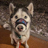 Nylon muzzle with a unique design for dogs