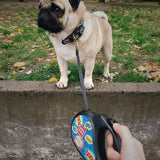 Retractable dog leash with a unique design