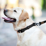 Evolutor - the most durable collar in the world
