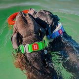 Ultra-modern waterproof dog collar with metal clasp