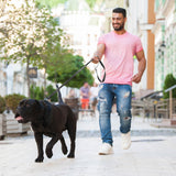 Evolutor - the most durable leash in the world