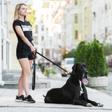 Evolutor - the most durable leash in the world