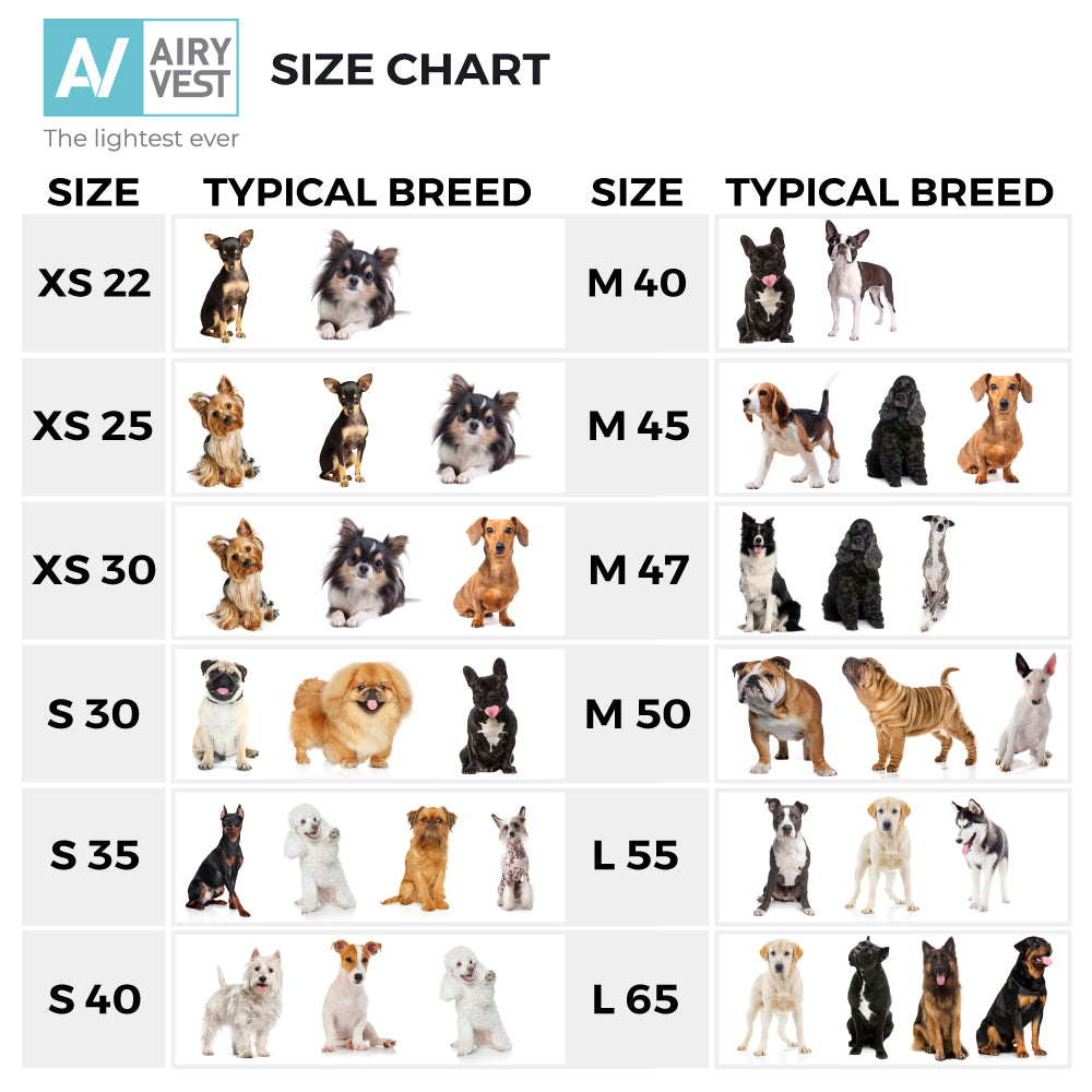 World's Lightest Warm Dog Jacket - Main Image